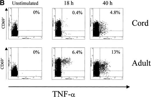 Fig. 3. Cytoplasmic expression of IFN-γ and TNF- by UCB and adult T cells. Intracellular staining was performed in parallel and on the same MNC during the primary Con A stimulation experiments for NFAT1 analysis by Western blotting. MNC from UCB or adult peripheral blood were left unstimulated or stimulated using Con A for 40 hours in identical conditions and analyzed for intracellular expression of cytokines by flow cytometry. At 0 hour (unstim), 18 hours, and 40 hours of stimulation, CD3+ cells were gated and intracellular cytokine expression in gated cells was plotted versus CD69 expression. Numbers in histograms indicate the percentage of CD3+/CD69+ cells expressing the cytokine. (A) Intracellular staining for IFN-γ. (B) Intracellular staining for TNF-.