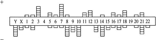 Fig. 2. Numerical chromosome aberrations in B-ib lymphomas (n = 28). +, gain; −, loss of the respective chromosome.
