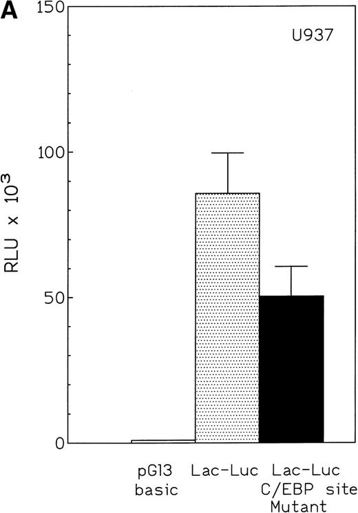 Fig. 6. (A) Effect of mutation of C/EBP site (−55) on lactoferrin promoter activity in U937 cells. The −230-bp lactoferrin promoter luciferase (Lac-Luc) reporter either with or without a mutation at the C/EBP site as well as β-galactosidase plasmid were transfected into U937 cells. After 16 hours, cells were harvested to determine luciferase activity. Relative light units (RLU) were normalized for β-galactosidase activity. Data shown represent mean ± standard deviation of 3 independent experiments. (B) Western blot for C/EBPɛ expression in U937 cells stably integated with either zinc-inducible C/EBPɛ expression vector or empty expression vector (PMT). Addition of 100 μmol/L zinc-sulfate strongly induces C/EBPɛ protein (labeled p32). (C) U937 cells containing either a stably integrated, zinc-inducible C/EBPɛ expression vector (labeled C/EBPɛ) or empty vector (PMT, control) were transiently transfected with either the −87 lactoferrin promoter reporter plasmid (labeled −87 Lac-Luc) or empty vector pGL 3basic. After transfection, half of the cells were treated with 100 μmol/L zinc (▪) either to induce expression of C/EBPɛ or control for a possible nonspecific zinc effect on promoter activity in the case of U937 with integrated empty vector. Half of the cells were not treated with zinc () and used to determine the basal activity of the −87 Lac-Luc plasmid in U937/C/EBPɛ and U937/PMT. Data represent mean and standard deviation of 3 independent experiments.