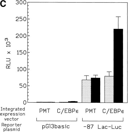 Fig. 6. (A) Effect of mutation of C/EBP site (−55) on lactoferrin promoter activity in U937 cells. The −230-bp lactoferrin promoter luciferase (Lac-Luc) reporter either with or without a mutation at the C/EBP site as well as β-galactosidase plasmid were transfected into U937 cells. After 16 hours, cells were harvested to determine luciferase activity. Relative light units (RLU) were normalized for β-galactosidase activity. Data shown represent mean ± standard deviation of 3 independent experiments. (B) Western blot for C/EBPɛ expression in U937 cells stably integated with either zinc-inducible C/EBPɛ expression vector or empty expression vector (PMT). Addition of 100 μmol/L zinc-sulfate strongly induces C/EBPɛ protein (labeled p32). (C) U937 cells containing either a stably integrated, zinc-inducible C/EBPɛ expression vector (labeled C/EBPɛ) or empty vector (PMT, control) were transiently transfected with either the −87 lactoferrin promoter reporter plasmid (labeled −87 Lac-Luc) or empty vector pGL 3basic. After transfection, half of the cells were treated with 100 μmol/L zinc (▪) either to induce expression of C/EBPɛ or control for a possible nonspecific zinc effect on promoter activity in the case of U937 with integrated empty vector. Half of the cells were not treated with zinc () and used to determine the basal activity of the −87 Lac-Luc plasmid in U937/C/EBPɛ and U937/PMT. Data represent mean and standard deviation of 3 independent experiments.