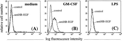 Fig. 4. Effect of GM-CSF and LPS on the surface expression of HB-EGF molecule in PMN. PMN were cultured in the absence (A) or presence of 25 ng/mL GM-CSF (B) or 100 ng/mL LPS (C) for 21 hours. Only GM-CSF–treated PMN acquired membrane expression of the HB-EGF molecule (B). Membrane-bound HB-EGF expression was examined by indirect immunofluorescence analysis using the polyclonal H6 antibody (kindly provided by Dr S. Higashiyama), followed by a human-IgG preadsorbed biotinylated second antibody and by PE-conjugated streptavidin. Cells were also stained with irrelevant antibodies as controls. The expression patterns presented in this figure were reproduced in 5 independent experiments.