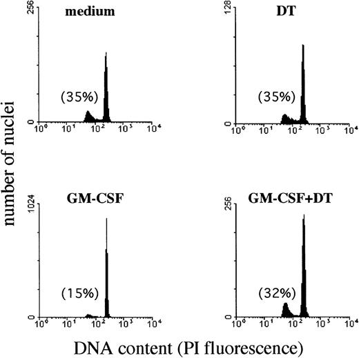 Fig. 5. Effect of DT on the development of apoptotic nuclei in PMN maintained in culture with GM-CSF. The presence of DT (kindly provided by Dr E. Papini) in the cultures inhibited specifically the protective effect of GM-CSF on PMN apoptosis. PMN suspensions, cultured for 44 hours alone or with 25 ng/mL GM-CSF in the presence or absence of 10−8 mol/L DT, were processed for DNA content analysis by propidium iodide staining and flow cytometry analysis. Data were plotted as red fluorescence intensity versus number of nuclei with a given DNA content as determined in each experimental condition. Numbers reported indicate the percentage of hypodiploid (apoptotic) nuclei. Similar results were observed in PMN isolated from 3 independent donors.