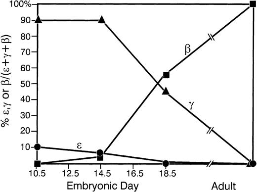 Fig. 5. Developmental regulation of the globin BAC transgene. Timed matings were performed between transgenic F1 male mice from line no. 1 and WT B6/C3H female mice. RNA was harvested on e10.5 (yolk sac), e14.5 (fetal liver), e18.5 (fetal liver), or from adult mice >6 weeks old (peripheral blood). Multiplex RT-PCR was performed to determine the relative levels of human ɛ-, γ-, or β-globin mRNA at different stages of development. (•) Human ɛ-globin mRNA; (▴) human γ-globin mRNA; (▪) human β-globin mRNA. Each data point represents an average value for several experiments.