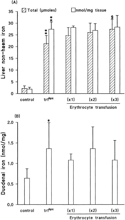 Fig. 2. (A) Liver iron (total content or tissue concentration) and (B) duodenal iron in control and homozygous hypotransferrinemic mice; the latter group was either untransfused or given 1 to 3 transfusions of erythrocytes from control animals. All determinations were performed 3 days after the last transfusion except for the multiple-transfused group, which were performed 5 days postinjection. Data: mean ± SD for 5 to 10 animals in each group except for the (×1) transfused group where n = 3. *P < .04; **P< .001 as compared with the control group. $,P < .02 as compared with the nontransfused homozygous group.
