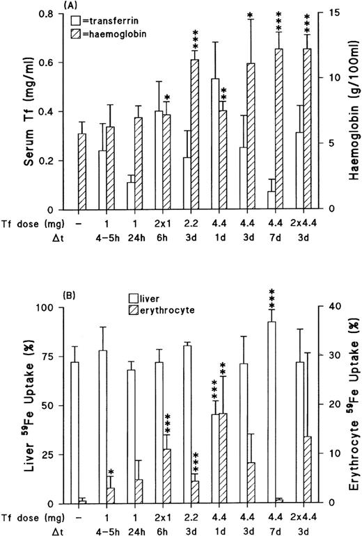 Fig. 3. Effect of mouse transferrin injections on circulating levels, hemoglobin (A) and liver/erythrocyte uptake of the absorbed radioiron (B). The transferrin (Tf ) dose and sampling time (after last injection if more than one) are as indicated. Data: mean ± SD for 4 to 6 animals in each group except for the one studied 3 days post 2.2 mg dose, where n = 3. Detection limit for serum transferrin was 0.05 mg/mL. Any values below this level are therefore not indicated on the figure. *P < .05; **P < .02; ***P < .004 as compared with untreated homozygous mice.