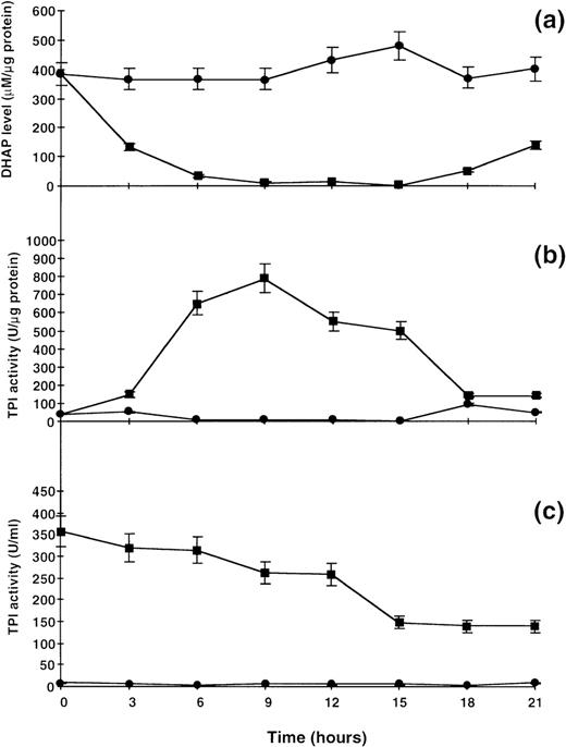 Fig. 1. Reversal of metabolic defect in TPI-deficient lymphoblastoid cells from patient A (Table 1). (a) Reduction in accumulated intracellular DHAP. (b) Intracellular TPI activity. (c) TPI activity in culture medium. Cells were cultured in serum free medium with (▪) or without (•) normal human plasma as described in Materials and Methods.