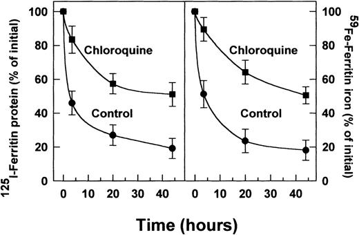 Fig. 3. Effect of chloroquine on radiolabeled (125 I) ferritin-protein degradation (A) and radioiron loss (B) from extracellular ferritin taken up by DEC. Incubations were performed for 0, 5, 20, and 44 hours. Other experimental conditions were as described in Figs 1 and 2. The intensity of the ferritin-label was measured by scanning with the phosphor imager. Means ± SD of 3 independent experiments.