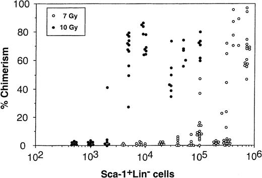 Fig. 2. Induction of donor type chimerism after transplantation of C57BL/6 Sca-1+Lin− cells into lethally (10 Gy TBI) or sublethally (7 Gy TBI) irradiated C3H/HeJ recipients. The number of Sca-1+Lin− cells infused was calculated based on FACS analysis.