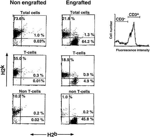 Fig. 3. Split chimerism after transplantation of C57BL/6 Sca-1+Lin− cells (H2b) into sublethally irradiated (7 Gy) C3H/HeJ recipients (H2k). Percentages of donor and host T cells (determined by gating of CD3 stained cells) and non-T cells are shown in the appropriate FACS dot plots. Peripheral blood chimerism was determined 30 days posttransplant by cytofluorimetry (see Materials and Methods).