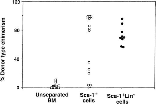 Fig. 5. Donor type chimerism after transplantation of different BM cell fractions into allogeneic recipients exposed to sublethal (7 Gy) TBI: effect of positive selection for Sca-1+ cells and subsequent depletion of Lin+ cells. The figure shows peripheral blood chimerism at 30 days after transplantation of 1 × 106 cells from each cell fraction.