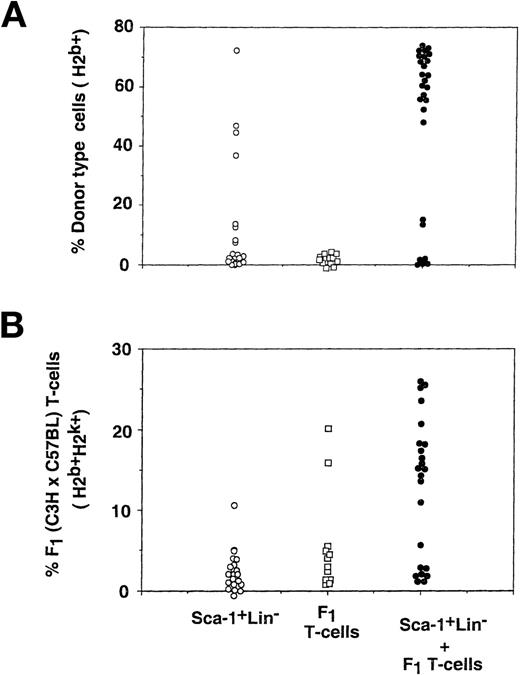Fig. 7. Donor type chimerism after transplantation of Sca-1+Lin− cells: the synergistic effect of non-alloreactive T cells and purified Sca-1+Lin− cells. Different groups of sublethally (7 Gy) irradiated C3H/HeJ recipients (H2k+) were transplanted with 2 × 105 (C57BL/6) Sca-1+Lin− cells (H2b+), 10 × 106 (C3H/HeJ × C57BL/6)F1 T cells (H2k+H2b+), or both. Peripheral blood chimerism was analyzed 30 days posttransplant by flow cytometry, monitoring the engraftment of Sca-1+Lin−cells (C57BL/6) (H2b+) (A) and (C3H/HeJ × C57BL/6)F1 T cells (H2k+H2b+) (B). Data were pooled from 5 independent experiments.