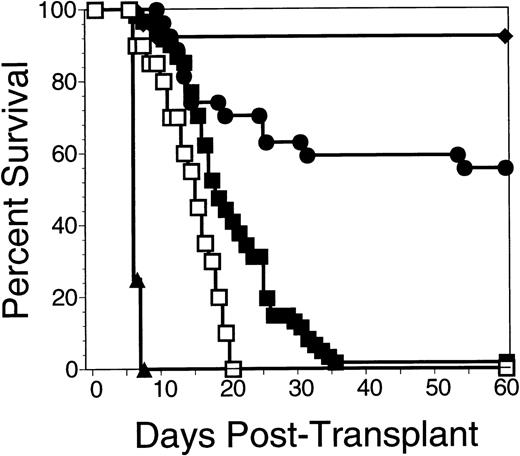 Fig. 5. Survival of B10.BR mice transplanted with C57.BL6 BM cells was enhanced by irradiated C57.BL6 splenocytes. Data are pooled from 3 experiments in which groups of 8 to 10 B10.BR mice were irradiated to 10 Gy on day -2 and transplanted with 0.5 × 106 C57.BL6 allogeneic BM cells or 0.5 × 106syngeneic B10.BR BM cells on day 0. One group of 8 B10.BR mice received 3 injections of 25 × 106 nonirradiated C57.BL6 allogeneic splenocytes on day −1, day 0, and day +1 (▴), while a second group of 28 B10.BR mice received 3 injections of 25 × 106irradiated (7.5 Gy) allogeneic C57.BL6 spleen cells on day −1, day 0, and day +1 (•). A control group of 60 B10.BR mice received allogeneic BM cells alone (▪). Another control group of 20 B10.BR mice received irradiation without a transplant (□) and 26 B10.BR mice were transplanted with syngeneic H2k BM cells (⧫). Significant differences in survival using the Cox statistic were found between the group of mice receiving multiple infusions of irradiated allogeneic splenocytes and the group that received nonirradiated splenocytes (P = 3 × 10−6); the mice that received irradiated allogeneic splenocytes and mice that received allogeneic BM alone (P = 1 × 10−2); and the mice that received multiple infusions of nonirradiated allogeneic splenocytes and mice that received allogeneic BM alone (P= 3 × 10−7).