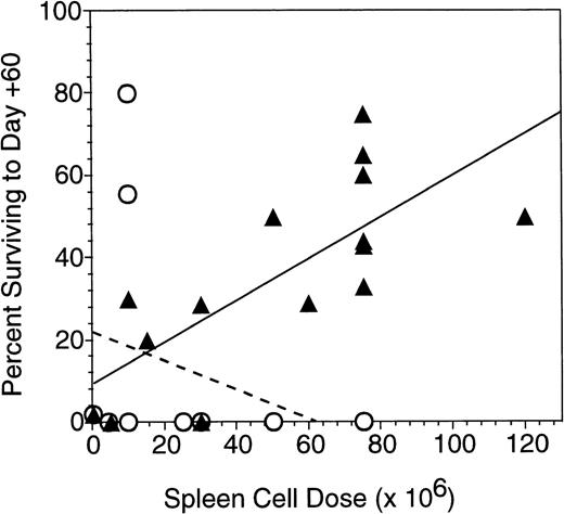 Fig. 6. Sixty-day survival of B10.BR mice transplanted with allogeneic C57.BL6 BM and splenocytes. Recipient mice received 10 Gy irradiation in 2 equal fractions on day −2 or day −1 and transplanted with 0.5 × 106 BM cells from C57.BL6 donors on day 0. The 60-day survival of groups of 7 to 21 mice in 14 separate experiments receiving various numbers of irradiated (7.5 Gy) (▴) or nonirradiated (○) allogeneic splenocytes given in 1 to 3 injections on consecutive days around the day of BM transplant (day 0). Best-fit lines are shown for the survival of mice receiving different doses of irradiated allogeneic splenocytes (—) (r2 = .49) and unirradiated allogeneic lymphocytes (— — —).