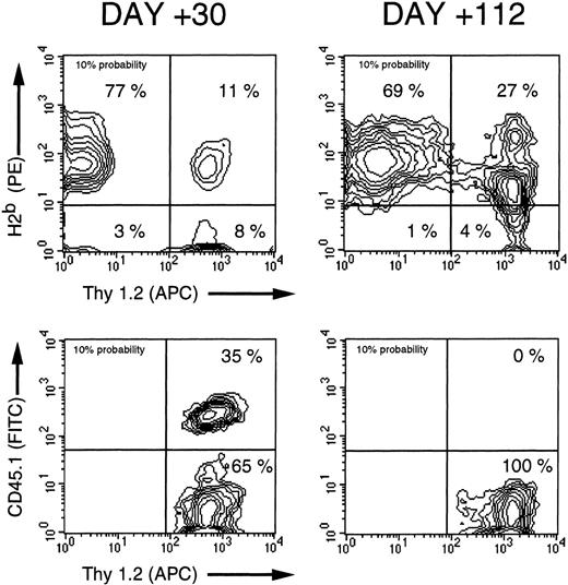 Fig. 8. Flow cytometric analysis of peripheral blood leukocytes from recipients of allogeneic TCD BM and irradiated allogeneic splenocytes. Peripheral blood was obtained from B10.BR recipients of 0.5 × 106 CD45.2+C57.BL6 TCD BM cells and 50 × 106 irradiated CD45.1+ C57.BL6 splenocytes. The conditions of the transplant are described in the legend to Fig 6. Upper panels: the total percentages of donor T cells (upper right quadrant), host-type T cells (lower right quadrant), and host non-T cells (lower left quadrant) and donor-type non-T cells (upper left quadrant) are shown for 2 representative animals bled on day +30 and day +112 posttransplant. Lower panels: the fraction of donor T cells derived from the irradiated splenocytes (CD45.1+, upper right quadrant) or from the donor BM (CD45.1−, lower right quadrant) are shown.