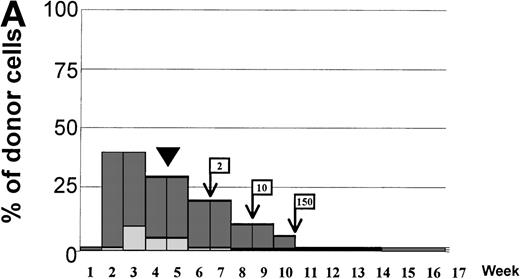 Fig. 4. Variations in donor myeloid and T-cell engraftment posttransplant and relationship with CSA reduction and DLI. (A) Patient 4: poor T-cell engraftment (maximum, 40%) followed by graft rejection despite CSA withdrawal and DLI. (B) Patient 10: rapid and complete donor T-cell engraftment by week 3; prolonged mixed myeloid chimerism (initially predominantly recipient) reaching 100% donor by week 17 after CSA withdrawal. (C) Patient 12: partial T-cell engraftment increasing to 100% donor after CSA withdrawal and DLI followed by complete donor myeloid engraftment by week 12.