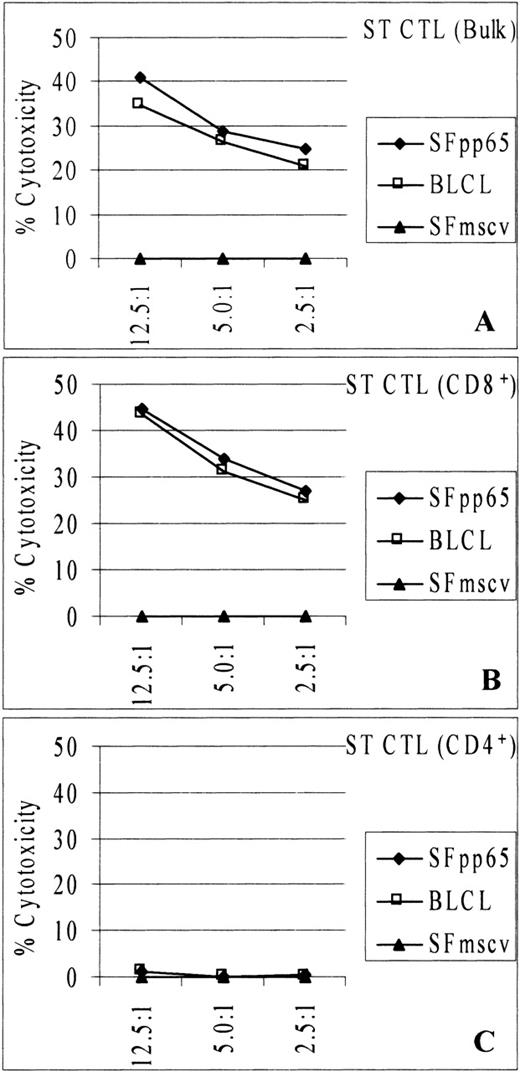 Fig. 5. Cytotoxicity against EBV-transformed BLCL and MSCVpp65-transduced SF was mediated by CD8+ CTL. Bulk, CD8-enriched, or CD4-enriched CTL culture from donor ST were tested at different E:T ratios in chromium release assay. CD8-enriched CTL (B) retained the cytotoxicity displayed by the bulk CTL (A), while the CD4-enriched CTL (C) did not.