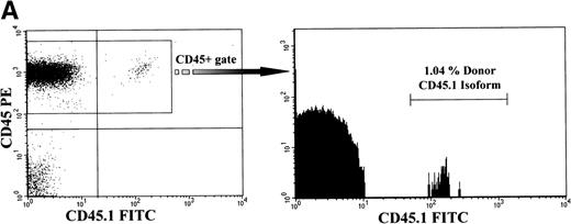 Fig. 2. Analysis of long-term chimerism. (A) Sample dot plot and histogram are shown from dual-color analysis of donor (CD45.1 FITC) peripheral blood chimerism among cells expressing either CD45 isoform (CD45 PE) within the recipients at 6 months of age. (B) Peripheral blood and BM chimerism levels by FACS analysis at 12 months of age in recipients of either congenic or allogeneic marrow.
