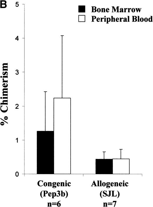 Fig. 2. Analysis of long-term chimerism. (A) Sample dot plot and histogram are shown from dual-color analysis of donor (CD45.1 FITC) peripheral blood chimerism among cells expressing either CD45 isoform (CD45 PE) within the recipients at 6 months of age. (B) Peripheral blood and BM chimerism levels by FACS analysis at 12 months of age in recipients of either congenic or allogeneic marrow.