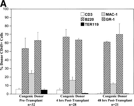 Fig. 3. These charts summarize the phenotypic profile of the donor cell population at various stages: pretransplant and within the recipient fetal liver at 4 and 48 hours posttransplant. The percentage of donor CD45+ cells expressing each of the differentiation antigens listed is shown for each time point in either the congenic (A) or allogeneic (B) strain combination.