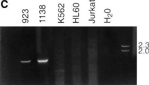Fig. 1. NUP98-TOP1 fusion cDNA. (A) NUP98-TOP1fusion sequence. The germline NUP98 and TOP1 (bold and italic) nucleotide sequences are as shown. The NUP98-TOP1fusion cDNA is as indicated. The amino acids encoded are shown below the nucleotide sequence. (B) Schematic representation of the wild-type and fusion proteins. Functional domains indicated for NUP98 are FXFG, FXFG repeat region; and RNA bind, RNA binding domain. DNA topoisomerase I N-terminus, core, linker, and C-terminus domains, as designated in ref 19, are indicated. NUP98 and TOP1 fusion points are shown with vertical arrows. (C) RT-PCR assay for NUP98-TOP1 fusion mRNA. Primers NUP8002 and HA-05 were used to amplify the 1,677-bp fusion mRNA. Patient samples no. 923 and 1138 are as indicated; no specific PCR product is seen in the negative control lanes (K562, HL60, Jurkat, H2O).