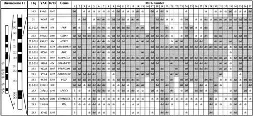 Fig. 1. Mapping of deletions involving chromosome bands 11q14 to 11q24 in 37 MCL by FISH. Chromosome 11 ideogram, band designation, CEPH YAC address, DNA locus, and genes contained in the probe set are given. YACs 950c12 through 785e12 form a contig and therefore allowed a precise deletion mapping. del, deletion (1 FISH signal); di, disomy (2 FISH signals); 3, partial trisomy in MCL no. 1 (3 FISH signals). The extent of the deletion in each case is indicated by shading. The half shading of YAC 801e11 in MCL no. 33 indicates partial deletion of this probe. Three MCL (nos. 1, 3, 4) were included in a previous study.14 The minimal deletion region lost in all MCL analyzed is the centromeric part of YAC 801e11 to which the ATMgene maps. The centromeric border of the minimal deletion is defined by MCL nos. 8 and 21. The telomeric border is defined by MCL no. 33 exhibiting loss of PAC ATM-1 and -2 and retention of 2 signals for YAC 801e11.
