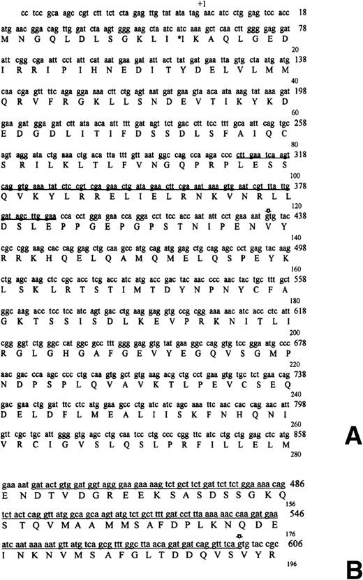 Fig. 2. Nucleotide and deduced amino acid sequences ofTFG-ALK cDNA in short TFG-ALKS (A) and long TFG-ALKL (B) forms. (A) Nucleotide sequence was numbered according to the previously described sequences. The putative coiled-coil domain of the TFG sequence is underlined. The asterisk marks a previously undescribed polymorphism (gtc → atc; Val → Ile). The translocation breakpoint in the cDNA is marked with an arrow. (B) The additional 165 bp TFG sequence is underlined. The translocation breakpoint in the cDNA is marked with an arrow.