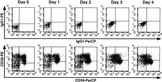 Fig. 1. The CD34/CD38 phenotype of Lin− CB cells changes during ex vivo transduction culture. / In this representative experiment (n = 3), uncultured (day 0) or cultured (days 1 to 4) cells were labeled with PerCP- and PE-conjugated mouse immunoglobulin G as isotype controls (upper panels) or anti-CD34-PerCP and anti-CD38-PE (lower panels) and analyzed by flow cytometry. Quadrants were set to locate at least 99% of the nonspecific events in the lower left.
