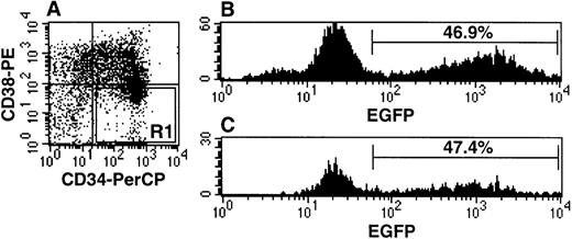 Fig. 2. Gene transfer into the “expanded” CD34+CD38− subpopulation is comparable to that into the total cell population. / (A) After 4 days of ex vivo transduction culture, cells were labeled with anti-CD34-PerCP and anti-CD34-PE. R1 is a region defining the CD34+CD38−fraction. (B) A histogram shows EGFP fluorescence in the total cell population. (C) A histogram shows EGFP fluorescence within the CD34+CD38−fraction as defined by the R1 region shown in (A).