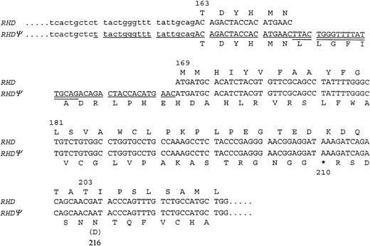 Fig. 1. Nucleotide and encoded amino acid sequence for the 3′ end of intron 3 and the 5′ end of exon 4 of RHDand RHDψ. / The region of the 37 bp duplication is underlined (single and double). The putative exon sequence derived from intron 3 is double-underlined.* Indicates a translation-termination codon.