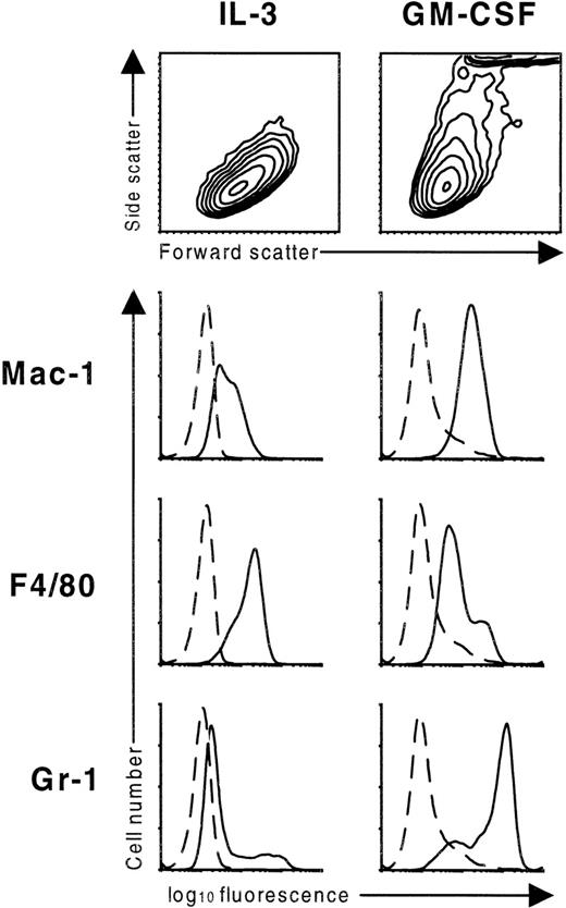 Fig. 4. Scatter profile and surface antigen expression of the FDB1 cell line. / FDB1 cells cultured in the presence of the indicated growth factors for 7 days were stained with rat monoclonal antibodies specific for the indicated surface antigens (solid lines) or an irrelevant isotype control (dashed lines). Scatter profiles are shown as contour maps.
