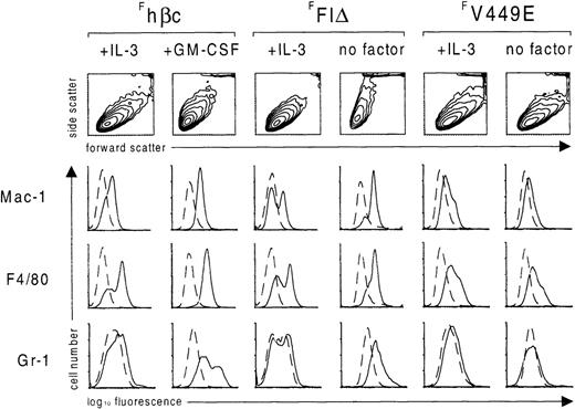 Fig. 5. Flow cytometric analysis of FDB2 cells expressing FLAG-tagged hβc subunits. / After culture for 7 days in the presence of the indicated growth factors or in the absence of growth factors (no factor), FDB2 cells expressing the indicated FLAG-tagged hβc proteins were stained with rat monoclonal antibodies specific for the indicated surface antigens (solid lines) or an irrelevant isotype control (dashed lines). Scatter profiles are shown as contour maps.