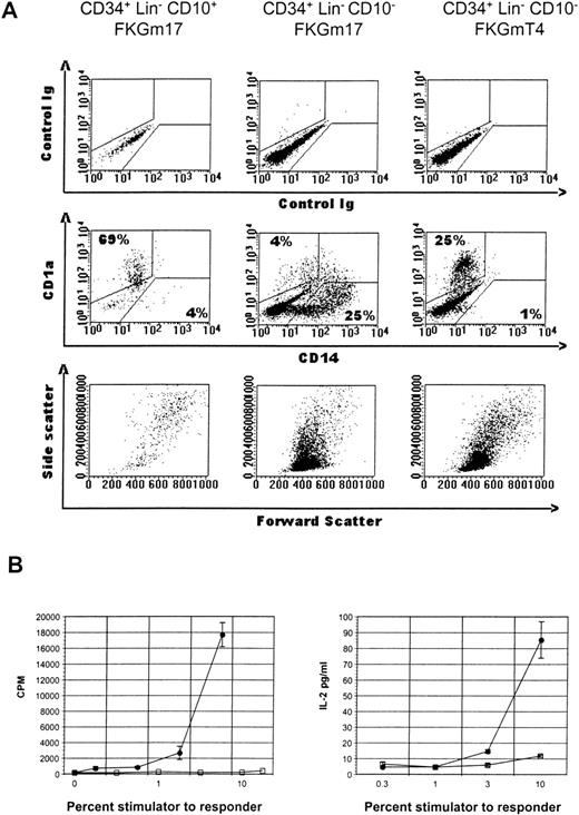 Fig. 2. Phenotype and function of CD34+ cell subset progeny. / (A) Flow cytometric analysis of various cultures of hematopoietic progenitor cell subsets. CD34+Lin− CD10+ cells in FKGm17 (left panel), or CD34+ Lin− CD10−cells in FKGm17 (middle panel), or CD34+Lin− CD10− cells in FKGmT4 (right panel) were analyzed 2 weeks after the start of culture. The top row shows background values and the middle row shows the correlated expression of FITC-CD14 and PE-CD1a markers. Numbers indicate the percentage of cells in the respective regions. The bottom row shows forward scatter (FSC) and side scatter (SSC) characteristics of the cells. (B) Two representative and distinct experiments show the stimulation of purified allogeneic T cells in MLR with irradiated progenies of CD34+ Lin− CD10+cells (closed circle) or of CD34+ Lin−CD10−cells (open square) in MLR. Proliferation (left panel) was measured by 3H-thymidine incorporation and IL-2 secretion in the medium (right panel) by ELISA.