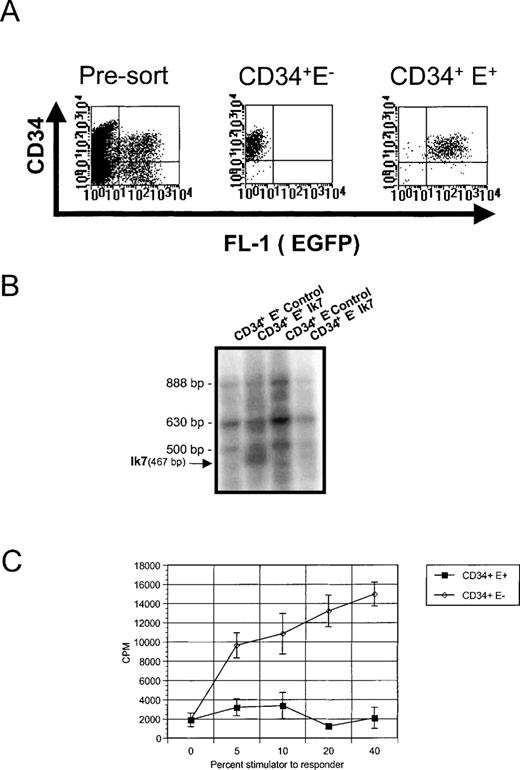 Fig. 4. Analysis of Ik7-infected CD34+ cells. / (A) Representative flow cytometric analysis of CD34+ cells cultured for a total of 4 days and having been infected with virus for 2 days (pre-sort). Reanalysis of CD34+EGFP− and EGFP+ cells from these cultures (CD34+ E− and CD34+E+), which are being used to assay DC hematopoiesis. (B) RT-PCR analysis of Ikaros mRNA in the sorted CD34+ cell populations showing the presence of the multiple endogenous Ikaros isoforms Ik1 (888 bp), Ik2/3 (630 bp), Ik4 (500 bp), and the 467 bp-specific product corresponding to Ik7. (C) Detection of DC activity by MLR. Stimulator cells were obtained after Ik7 infection and culture in FKGm17 of CD34+ EGFP+ cells (closed squares) or CD34+ EGFP− cells (open diamonds) and the response of purified T cells was measured as CPM after3H-thymidine incorporation.