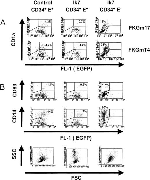 Fig. 5. Effects of Ik7 on DC differentiation. / Representative flow cytometric analyses of cultures of CD34+ EGFP+ cells infected with control virus (left panels) or of CD34+ EGFP+ cells infected with Ik7 virus (middle panels) and of CD34+EGFP− control cells obtained from cultures infected with Ik7-containing virus (right panels). Progenitor cells were obtained as indicated in Figure 4 and cultured with different cytokines. (A) Dot plots show the correlated expression of the CD1a marker and EGFP correspond to 1 experiment where cells were cultured for 7 days with FKGmT4 or FKGm17. (B) A separate experiment in which cells were stimulated with FKGm17 for 11 days and analyzed for the correlated expression of CD83, CD14, EGFP, FSC, and SSC parameters. In all dot plots, the analysis is carried on live cells excluding propidium iodide. Percentages of cells comprised within defined regions are indicated on the plots.