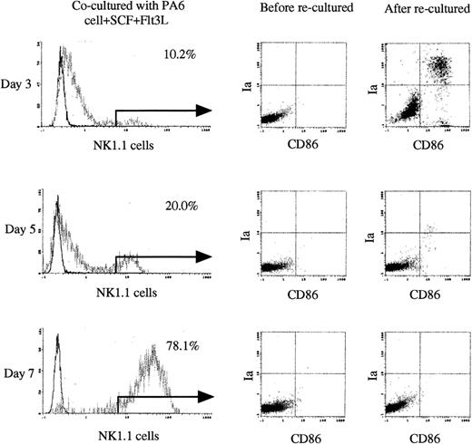 Fig. 11. Capacity to generate DC precursors from NK1.1+ cells. / 13 dpc FL-derived HPCs were co-cultured with PA6 cells + SCF + Flt3L in transwell plates. At the indicated time points, the nonadherent cells were collected and NK1.1+ cells were sorted and recultured with PA6 cells + GM-CSF + SCF + Flt3L. After being recultured for 10 to 12 days, the nonadherent cells were restimulated with GM-CSF + mTNFα for an additional 3 to 5 days. The expression of Ia and CD86 antigens on these cells was examined as described in “Materials and Methods.” Solid and dotted lines indicated the immunofluoresence intensity of cells stained with a control and the test MoAbs, respectively. The quads were set up on the isotype-matched control dot plot. Representative results from 3 independent experiments are shown.