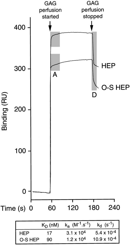 Fig. 7. Binding of unmodified and O-sulfated heparins to PF4. / After a stable baseline tracing was established by perfusion of unsupplemented buffer over biotinylated PF4 immobilized on a streptavidin chip in a BIAcore® biosensor equipment, a range of concentrations of unmodified heparin (HEP) or O-sulfated heparin (O-S HEP) were perfused over the chip. Binding of each GAG was measured in resonance units (1 RU = 1 pg/mm2) in triplicate at each concentration at 5 different concentrations. Representative binding curves are shown for the following concentrations of GAGs: 20.8 μmol/L HEP and 31.3 μmol/L O-S HEP. The perfusion of GAGs resulted in a shift in the tracing due to binding of the GAGs to PF4 (association phase; shaded area labeled A). When GAG perfusion was stopped and perfusion with unsupplemented buffer resumed, the tracing returned downward as the bound GAGs dissociated from PF4 (dissociation phase; shaded area labeled D). Perfusion of heparin resulted in a sharp up-slope, indicating rapid association, and a sharp down-slope following cessation of heparin perfusion, indicating rapid dissociation. In contrast, perfusion of O-sulfated heparin resulted in more gradual up-slope and down-slope, indicating slower association and dissociation from PF4. The table shows the median values for KD, ka (association rate) and kd(dissociation rate).