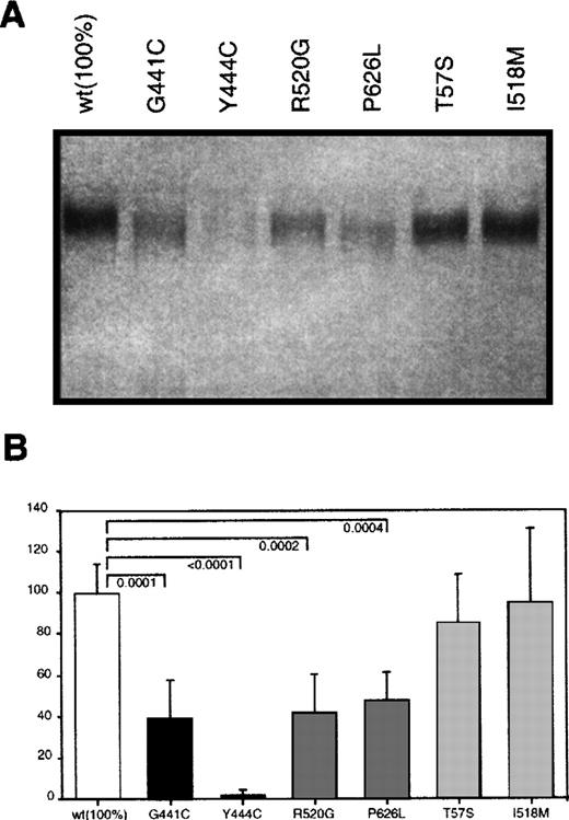Fig. 2. Transient expression of wild type and mutant recombinant protein S in COS 1 cells. / (A) Western blot analysis of 10 μL of conditioned media was performed according to Materials and Methods section. (B) ELISA determination of the concentrations of the different mutants. Bars represent the mean ± SD of 16 different protein S determinations corresponding to duplicates from 8 transfection experiments per mutant. An exception is P626L, for which 4 transfections were performed. A value of 100% was arbitrarily given to the mean value of the wild type expression. Comparison between the mutant and the wild type expression levels was performed using an unpaired t test. OnlyP-values considered significant (≤ .05) are shown.