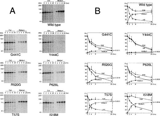 Fig. 3. Quantitative analysis of pulse-chase experiments using transient expression in COS 1 cells. / Radiolabeled media and cell lysates were immunoprecipitated and electrophoresed on SDS-PAGE. (A) A representative experiment of wild type protein S and each mutant pulse-chase. (B) The radioactivity of protein S bands on the dried gels was measured using an image analyzer. The amount of radioactive protein S in cell lysates at the beginning of the experiment was assigned a value of 100%. The graphs represent the radioactivity recovered from cell lysates (circles), medium (squares), or total (triangles) at each time point. Total radioactivity was calculated as the sum of radioactivity recovered from media and lysate. The values represent the mean ± SD of 3 or 4 independent experiments. The P-value of an unpaired t test comparing the radioactivity in the medium at 24 hours for each mutant compared with wild type protein S is given in the right axis.