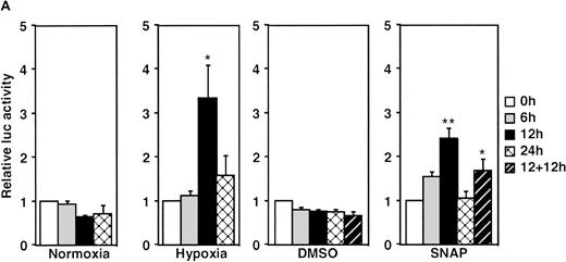 Fig. 1. Effect of NO and hypoxia on the expression of the VEGF reporter gene in A-172 cells. / (A) Time-course of human VEGF promoter activity in A-172 cells. The cells were exposed to normoxia (21% O2), hypoxia (1% O2), DMSO (0.1%), or SNAP (0.5 mmol/L in 0.1% DMSO) for 0, 6, 12, or 24 hours. In the result labeled 12 + 12h, a half dose of SNAP was added at 24 hours, and the remaining dose was added 12 hours before harvesting the cells. *P < 0.05, **P < 0.01 versus corresponding controls; n = 6 independent experiments. (B-D) Effect of SNAP (B), NOC5 (C), and AP (D) on human VEGF promoter activity in A-172 cells. The cells were stimulated for 12 hours under normoxic or hypoxic conditions. The final concentration of DMSO was 0.1% in (B) and (D). (NOC5 was dissolved in PBS.) (B): n = 8; *P < 0.05, **P < 0.01 versus control in normoxia, #P < 0.01 versus control in hypoxia. (C): n = 8; *P < 0.01 versus control in normoxia, #P < 0.01 versus control in hypoxia. (D): n = 6; no significant difference. Relative luc activity represents the mean ± SEM of the ratio of luciferase/β-galactosidase activity.