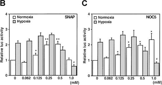 Fig. 1. Effect of NO and hypoxia on the expression of the VEGF reporter gene in A-172 cells. / (A) Time-course of human VEGF promoter activity in A-172 cells. The cells were exposed to normoxia (21% O2), hypoxia (1% O2), DMSO (0.1%), or SNAP (0.5 mmol/L in 0.1% DMSO) for 0, 6, 12, or 24 hours. In the result labeled 12 + 12h, a half dose of SNAP was added at 24 hours, and the remaining dose was added 12 hours before harvesting the cells. *P < 0.05, **P < 0.01 versus corresponding controls; n = 6 independent experiments. (B-D) Effect of SNAP (B), NOC5 (C), and AP (D) on human VEGF promoter activity in A-172 cells. The cells were stimulated for 12 hours under normoxic or hypoxic conditions. The final concentration of DMSO was 0.1% in (B) and (D). (NOC5 was dissolved in PBS.) (B): n = 8; *P < 0.05, **P < 0.01 versus control in normoxia, #P < 0.01 versus control in hypoxia. (C): n = 8; *P < 0.01 versus control in normoxia, #P < 0.01 versus control in hypoxia. (D): n = 6; no significant difference. Relative luc activity represents the mean ± SEM of the ratio of luciferase/β-galactosidase activity.