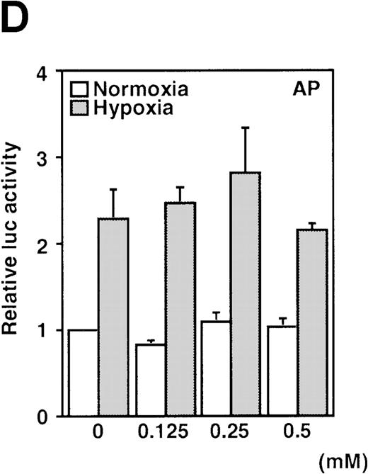 Fig. 1. Effect of NO and hypoxia on the expression of the VEGF reporter gene in A-172 cells. / (A) Time-course of human VEGF promoter activity in A-172 cells. The cells were exposed to normoxia (21% O2), hypoxia (1% O2), DMSO (0.1%), or SNAP (0.5 mmol/L in 0.1% DMSO) for 0, 6, 12, or 24 hours. In the result labeled 12 + 12h, a half dose of SNAP was added at 24 hours, and the remaining dose was added 12 hours before harvesting the cells. *P < 0.05, **P < 0.01 versus corresponding controls; n = 6 independent experiments. (B-D) Effect of SNAP (B), NOC5 (C), and AP (D) on human VEGF promoter activity in A-172 cells. The cells were stimulated for 12 hours under normoxic or hypoxic conditions. The final concentration of DMSO was 0.1% in (B) and (D). (NOC5 was dissolved in PBS.) (B): n = 8; *P < 0.05, **P < 0.01 versus control in normoxia, #P < 0.01 versus control in hypoxia. (C): n = 8; *P < 0.01 versus control in normoxia, #P < 0.01 versus control in hypoxia. (D): n = 6; no significant difference. Relative luc activity represents the mean ± SEM of the ratio of luciferase/β-galactosidase activity.