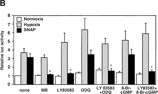 Fig. 3. Effects of inhibitors on human VEGF promoter activity in A-172 cells. / The cells were exposed to the same conditions as Figure 1for 12 hours. (A) Effect of the NOS inhibitor (2 mmol/L L-NAME or 5 mmol/L AG). n = 8; no significant difference. (B) Effect of the GC inhibitor and/or protein kinase G activator (25 μmol/L MB, 1.25 μmol/L LY83 583, or 25 μmol/L ODQ and/or 800 μmol/L 8-Br-cGMP). n = 6; *P < 0.01 versus control in SNAP, #P < 0.05 and +P < 0.01 versus ODQ in SNAP, and 8-Br-cGMP in SNAP, respectively. (C): n = 6; *P < 0.01 versus control in hypoxic conditions. (C) Effect of SNP. *P < 0.01 versus control in hypoxic conditions.