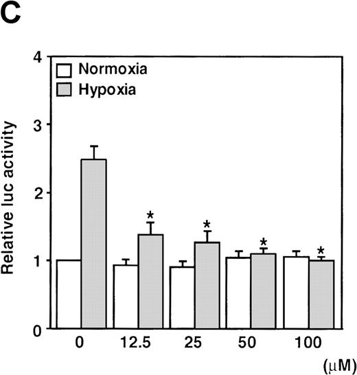 Fig. 3. Effects of inhibitors on human VEGF promoter activity in A-172 cells. / The cells were exposed to the same conditions as Figure 1for 12 hours. (A) Effect of the NOS inhibitor (2 mmol/L L-NAME or 5 mmol/L AG). n = 8; no significant difference. (B) Effect of the GC inhibitor and/or protein kinase G activator (25 μmol/L MB, 1.25 μmol/L LY83 583, or 25 μmol/L ODQ and/or 800 μmol/L 8-Br-cGMP). n = 6; *P < 0.01 versus control in SNAP, #P < 0.05 and +P < 0.01 versus ODQ in SNAP, and 8-Br-cGMP in SNAP, respectively. (C): n = 6; *P < 0.01 versus control in hypoxic conditions. (C) Effect of SNP. *P < 0.01 versus control in hypoxic conditions.
