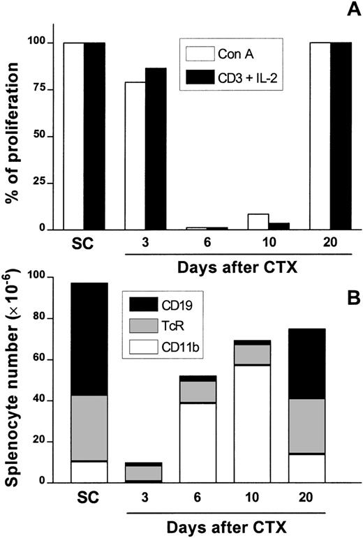 Fig. 1. Kinetics of splenic T-cell responsiveness and the major presence of cell populations in the spleen after CTX treatment. / Female Balb/c mice were injected i.p. with CTX (100 mg/kg of body weight) or PBS 3 times every 72 hours. At days 3, 6, 10, and 20 after CTX delivery, SC were aseptically obtained and assayed for T-cell proliferation with Con A (1μg/mL) or anti-CD3 (2 μg/mL) plus IL-2 (50 units/mL) as previously described. Data are the percentage of proliferation over mitogen-stimulated SC control cultures (A) to account for differences in proliferative response of these cells in different days of the experiment. From the very same spleens, CD19+ B cells, αβTcR+ T cells, and CD11b+ macrophage/myeloid cells were analyzed by flow cytometry as described (B). In this figure, the absolute number of each population is represented by the height of each stacked bar. The data are the means of positive cells of PBS-injected control (2 mice/d) and CTX-injected animals (3 mice/d). SD deviations were <10% in all cases.
