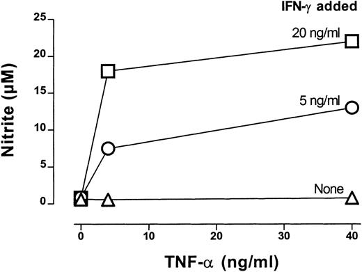 Fig. 4. IFN-γ–dependent NO production by CTX-SC. / CTX-SC (0.4 × 106 cells/well) were cultured in the absence or presence of increasing amounts of IFN-γ (5-20 ng/mL) plus TNF-α (4-40 ng/mL). Nitrite accumulation was measured after 72 hours of culture. Data are the mean ±SD of triplicate cultures from pooled spleens.
