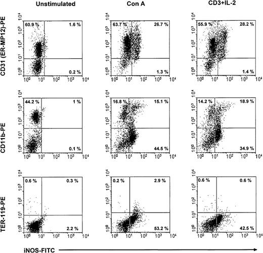 Fig. 7. iNOS expression in CTX-SC. / CTX-SC (0.4 × 106 cells/well) were cultured for 24-36 hours in the absence of or with Con A (1μg/mL) or anti-CD3 (2 μg/mL) plus IL-2 (50 units/mL). The cells were then recovered and stained with biotinylated anti-CD11b, anti-CD31, or PE-conjugated control TER-119 mAbs followed by AvPE, if required, for surface markers and FITC-conjugated antimouse iNOS. Isotypic controls showed <0.8% background in the selected regions. The results shown were obtained in 3 separate experiments.