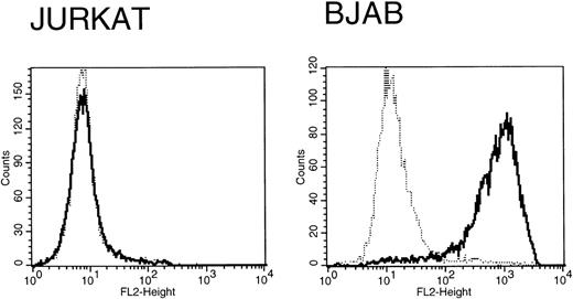 Fig. 6. Ephrin-A4-Fc binding to cell lines. / The Jurkat and the Bjab cell line were stained with either the control CD19short-Fc (dotted line) or the ephrin-A4-Fc (bold line) fusion protein.