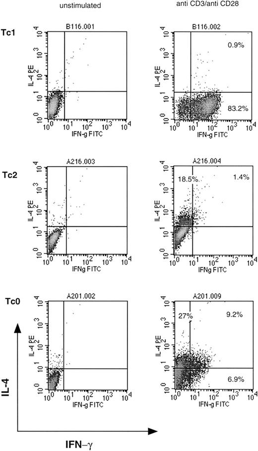 Fig. 1. Cytokine profiles of representative Tc1, Tc2, and Tc0 clones. / Clones were stimulated with plate-bound anti-CD3 and anti-CD28 MoAbs for 18 hours in the presence of Brefeldin A. Cells were washed, fixed, permeabilized, and incubated with anti–IFN-γ FITC and anti–IL-4 PE antibodies. Quadrants were set with reference to an unstimulated control. Stimulated cells stained with isotype control antibodies gave similar profiles. Percentages of cells positive for the particular cytokine are indicated.