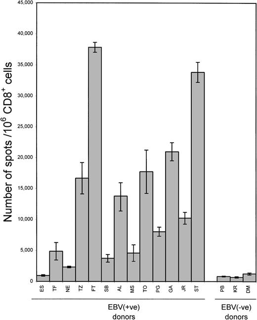 Fig. 2. Frequency of LCL-responsive CD8+ cells. / Isolated CD8+ cells from 13 healthy EBV-seropositive and 3 seronegative donors were incubated with autologous LCL stimulators in ELISPOT assays. Each bar represents the mean ± SD as determined in 2 separate experiments; data from each experiment represent the average of triplicate wells.