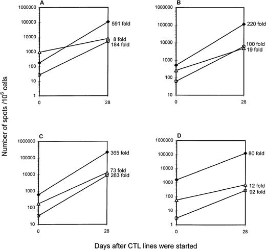 Fig. 5. Increases in the number of EBV-specific CD8+ cells over the course of polyclonal CTL line generation. / EBV-specific polyclonal CTL lines from HLA-A2 donors ES (A), SB (B), MS (C), and TZ (D) were established. Cells were harvested on day 28 and cryopreserved. On the day of the ELISPOT assay, aliquots of CTL lines were thawed and incubated with stimulators in multiscreen HA plate. Stimulators for ELISPOT assay included autologous LCLs (1 × 105/well), and autologous PBMCs (1 × 105/well) in medium containing the LMP2 or BMLF1 peptide (10 μg/mL, final concentration). The fold-increase in the number of LCL-responsive (filled diamonds), LMP2 peptide-responsive (open circles), and BMLF1 peptide-responsive CD8+ cells (open triangles) is indicated to the right of the day 28 data point.